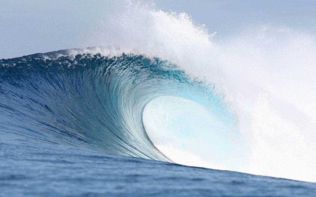 What the Ocean Taught Me About Fear in Business – Part 2